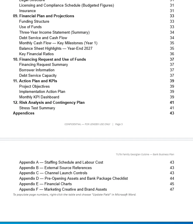 TUTA bank business plan financial and implementation sections